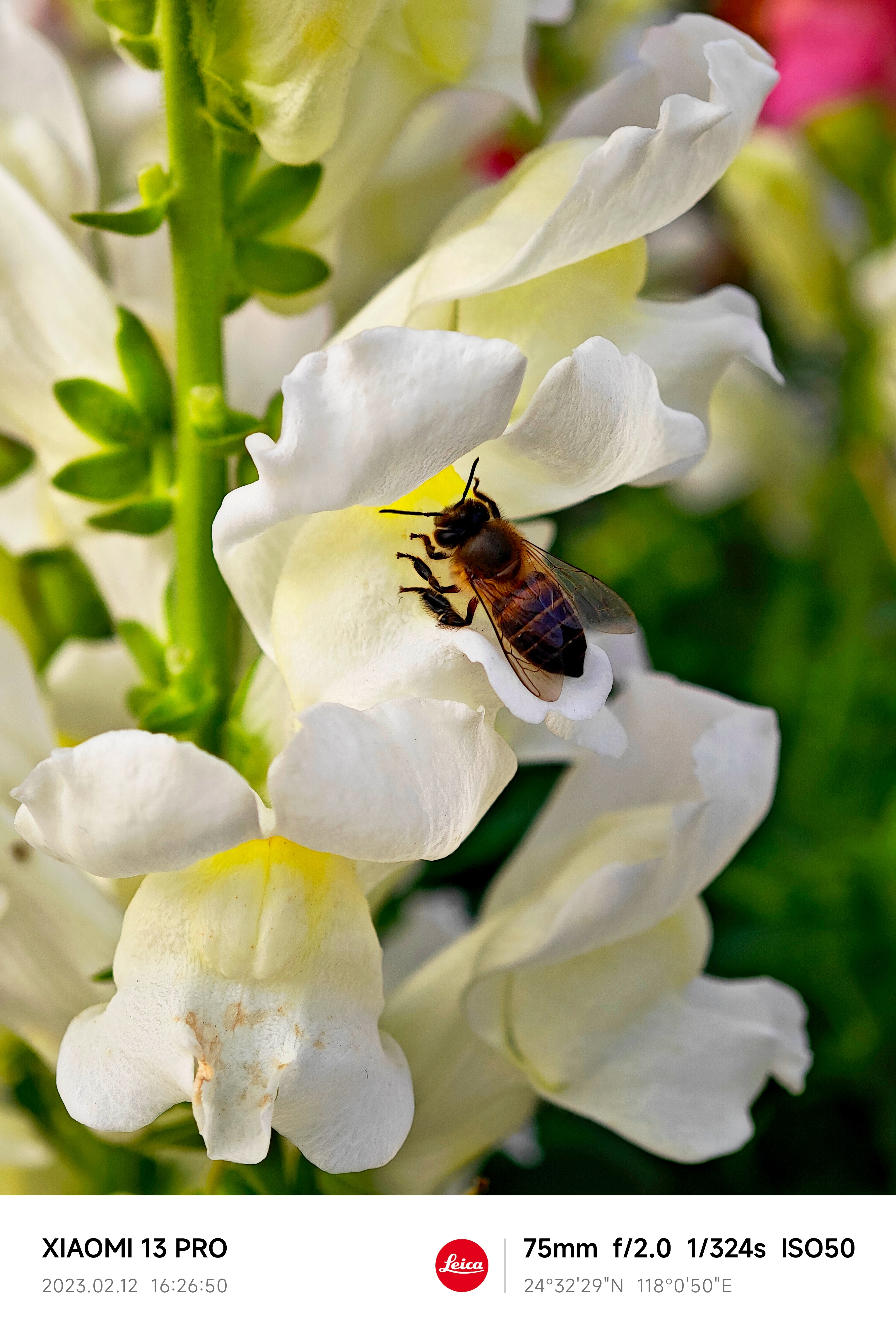 PA�콢��(�й���)�ٷ���վ-PlayAce