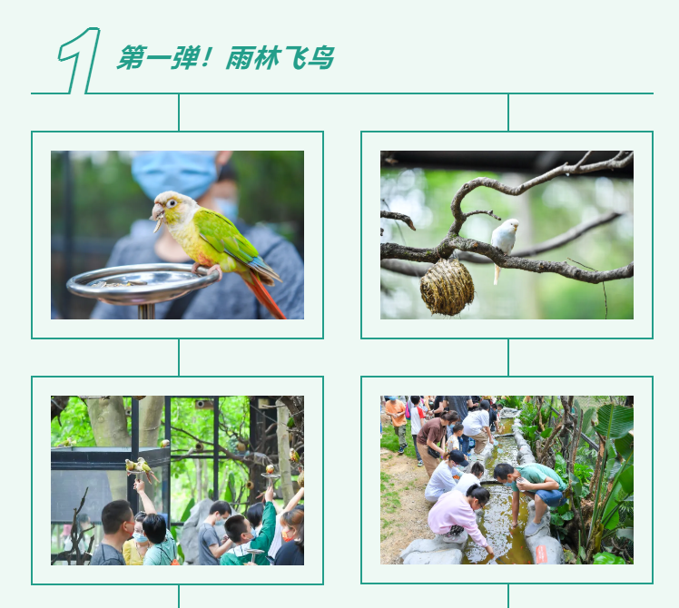 PA�콢��(�й���)�ٷ���վ-PlayAce