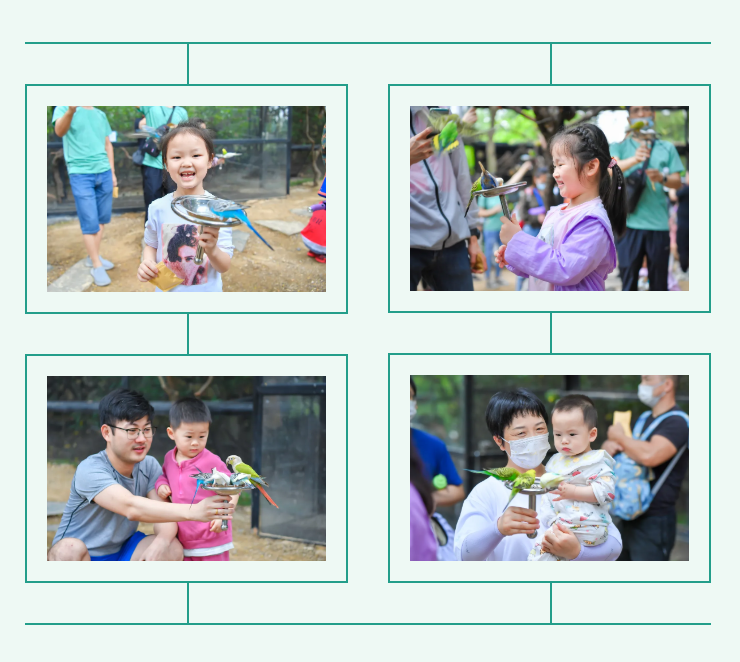 PA�콢��(�й���)�ٷ���վ-PlayAce