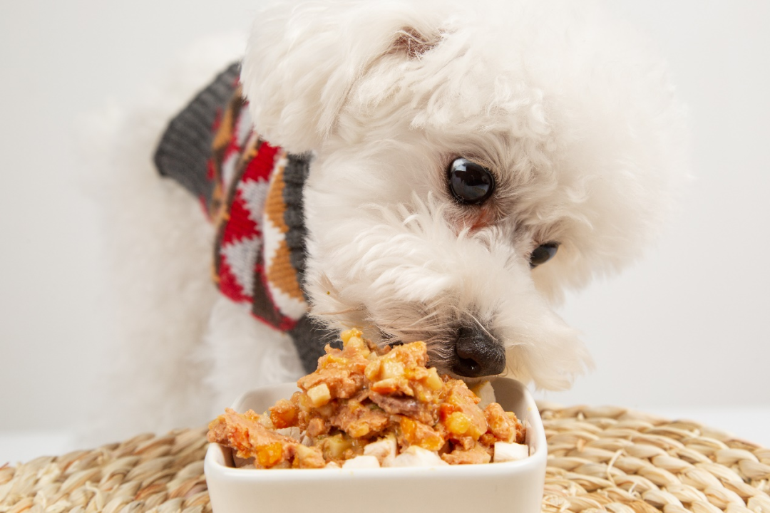 PA�콢��(�й���)�ٷ���վ-PlayAce