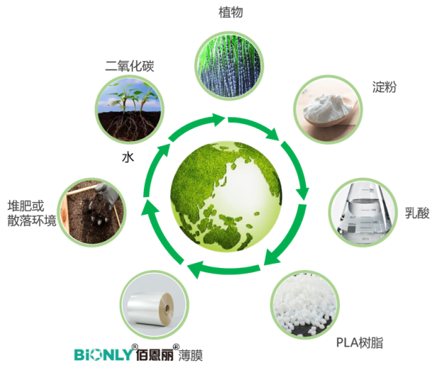 PA�콢��(�й���)�ٷ���վ-PlayAce