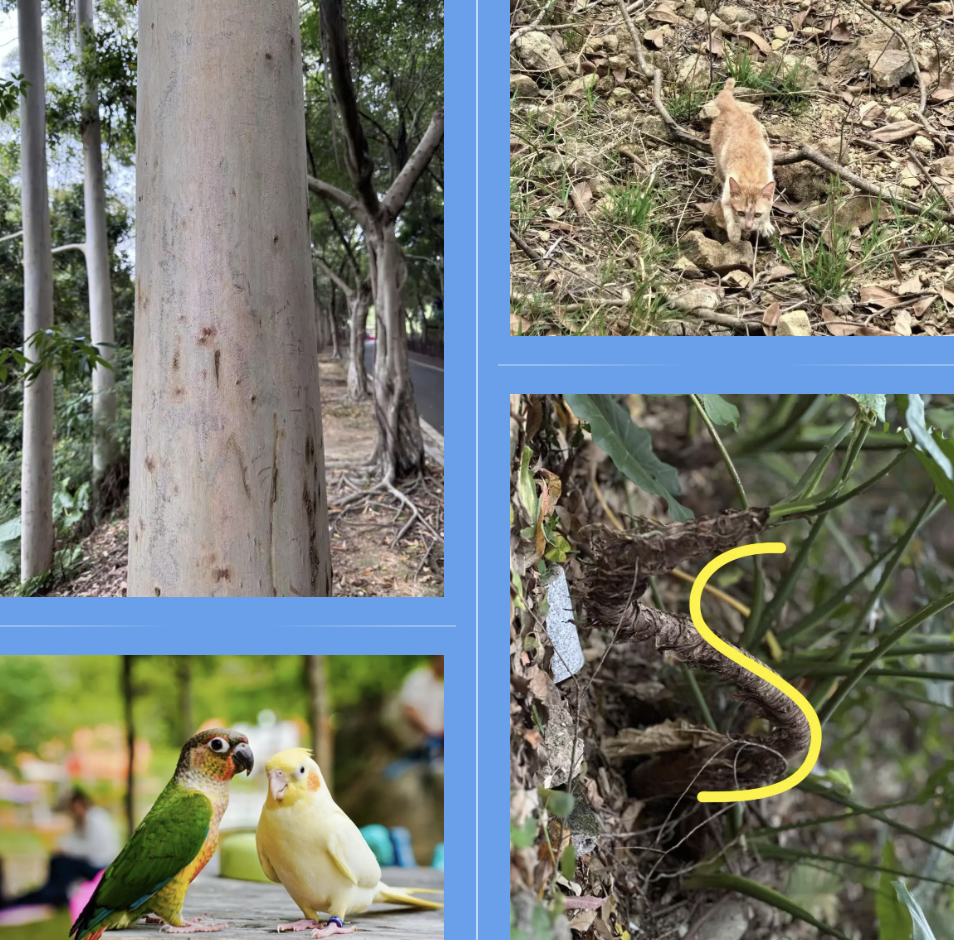 PA�콢��(�й���)�ٷ���վ-PlayAce